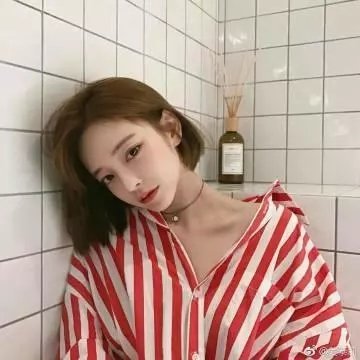 当狗爱上猫粤语